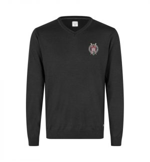 Feinstrick-Pullover, Herren, V-Neck